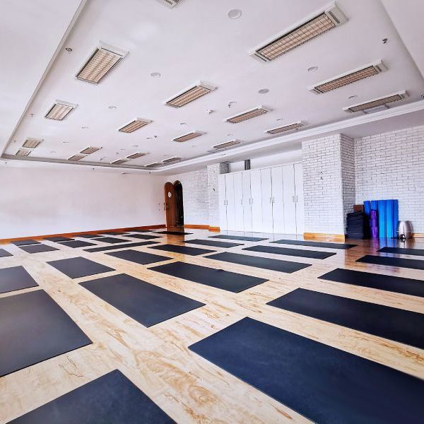 高溫瑜珈操房 專用加熱設(shè)備 曲波型高溫輻射加熱器